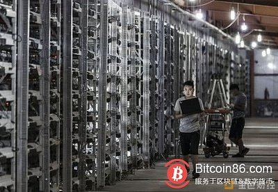 A state-of-the-art mining farm showcasing multiple mining machines and power solutions