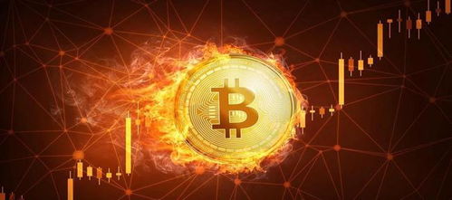 High-performance mining rig setup assessing profitability