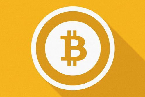 Bitcoin mining dashboard showing real-time performance and rewards